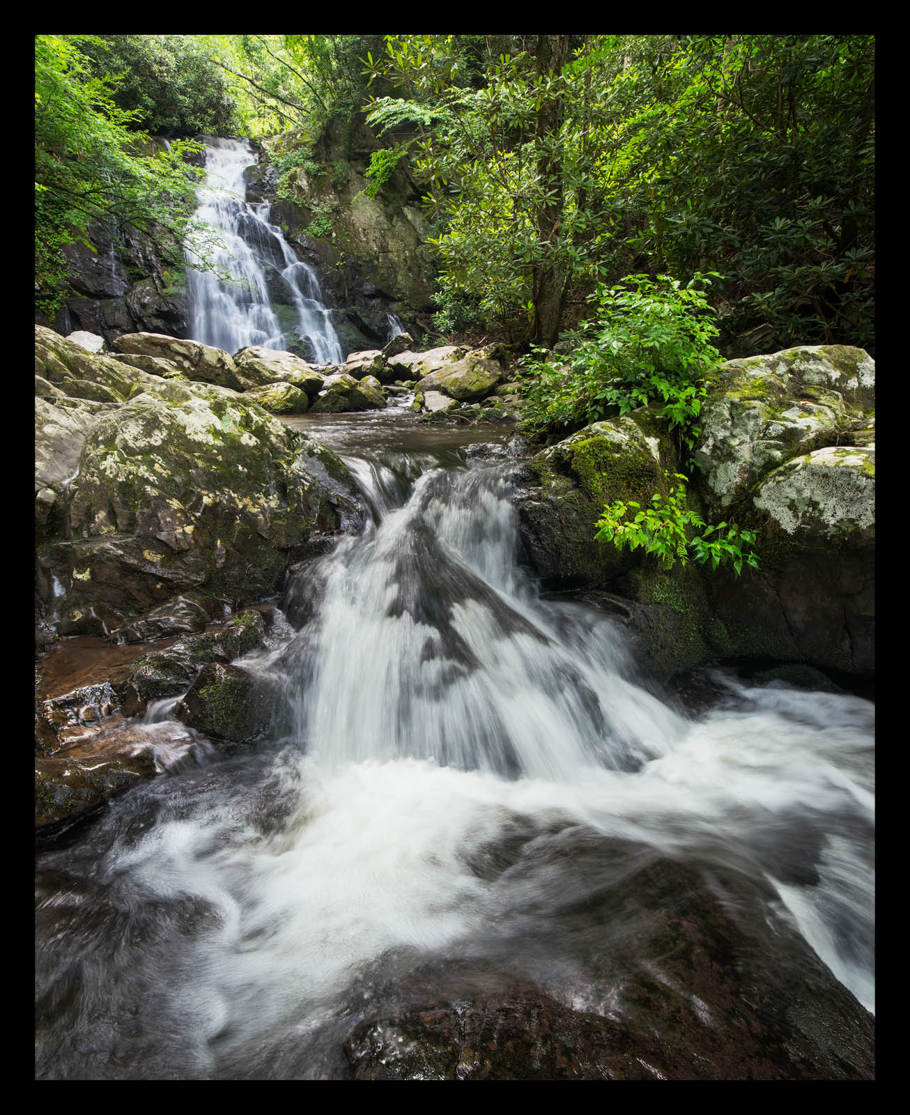 Refreshing Waters