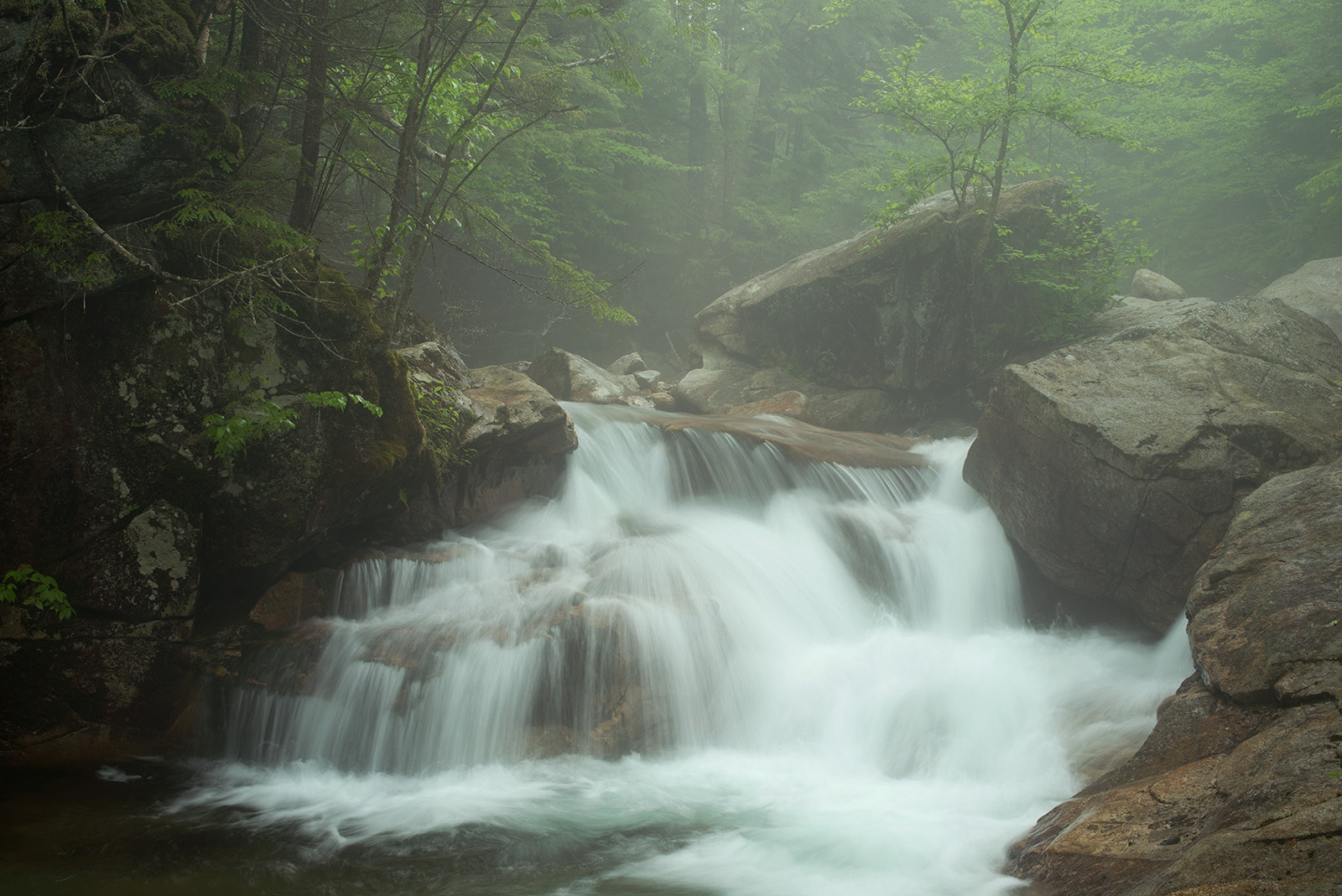 Mist on the Pemi # 2 + repost
