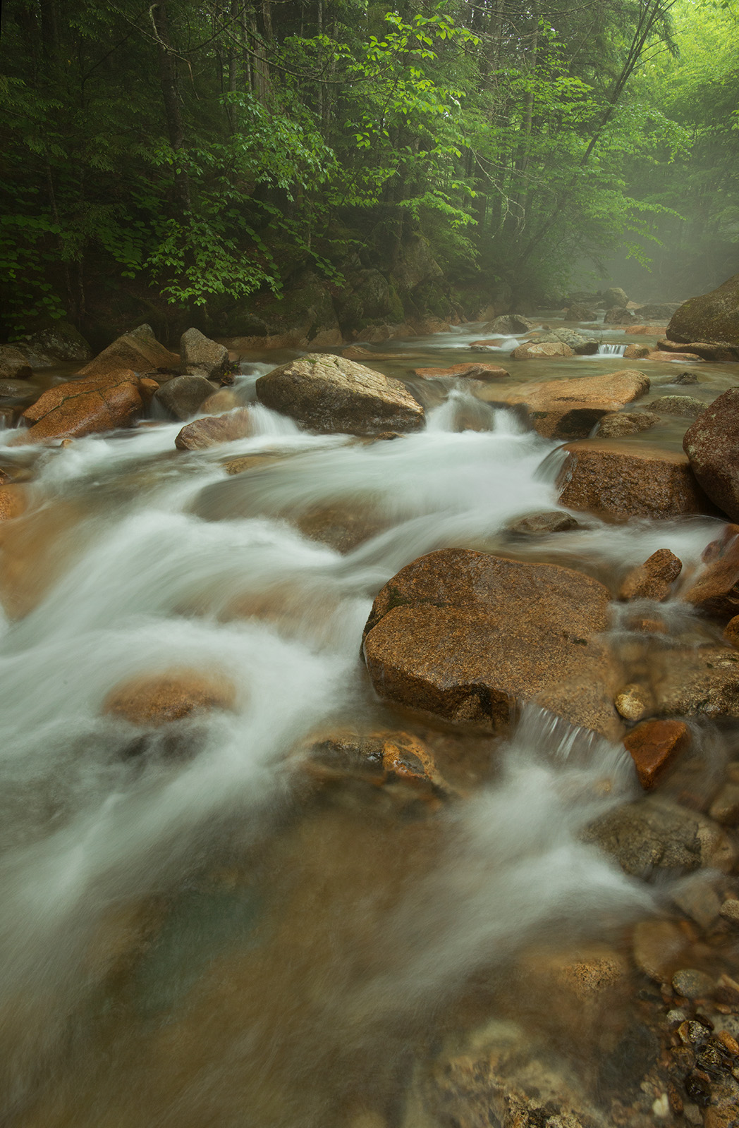 Mist on the Pemi # 4 + repost