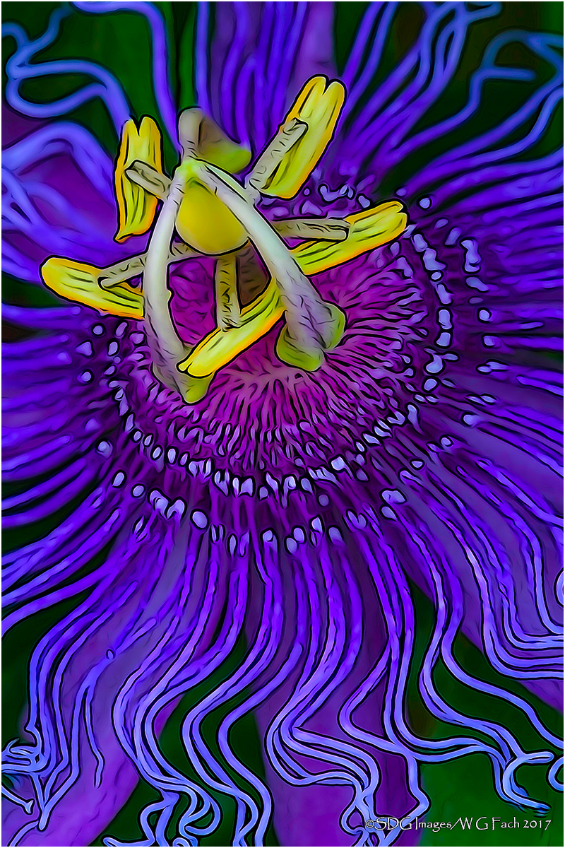 Tie Dyed