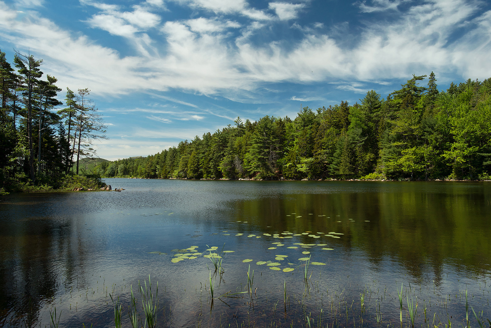Eagle Lake