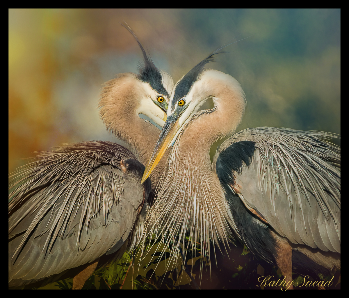 Soul Mates