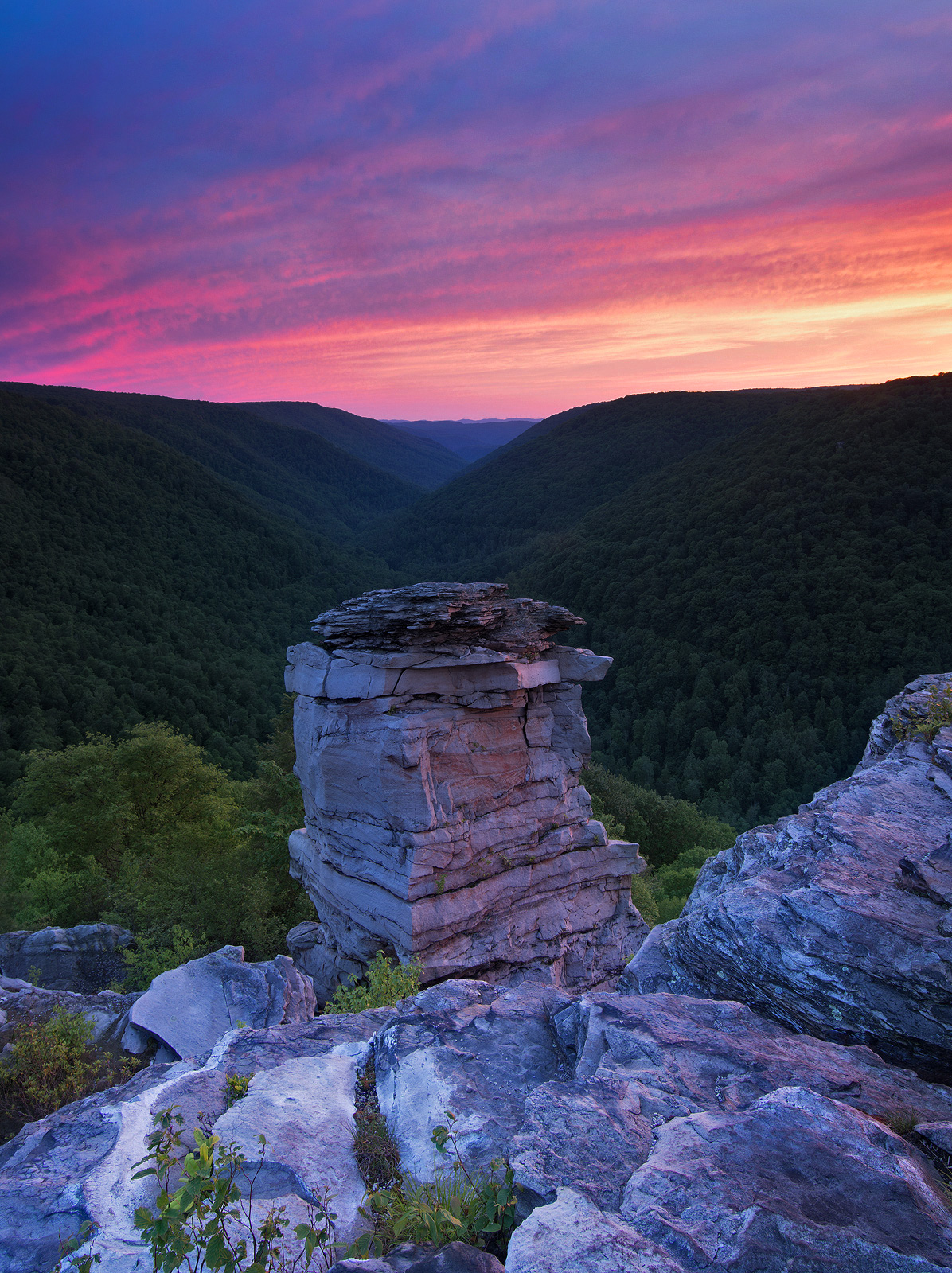 Lindy Point