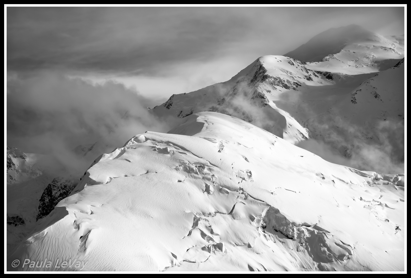 Denali B & W