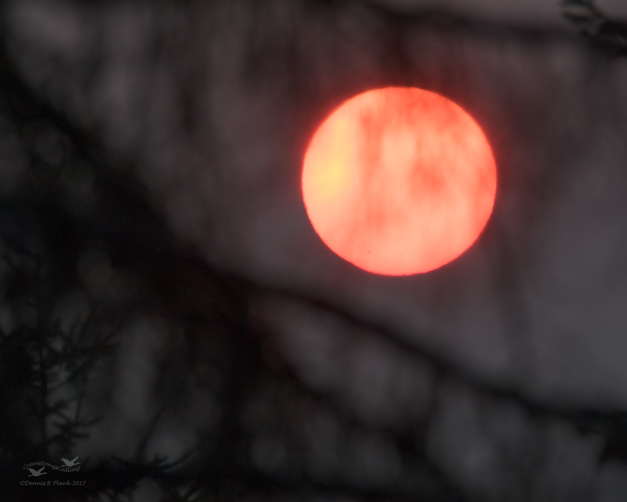 Solar Filters?  