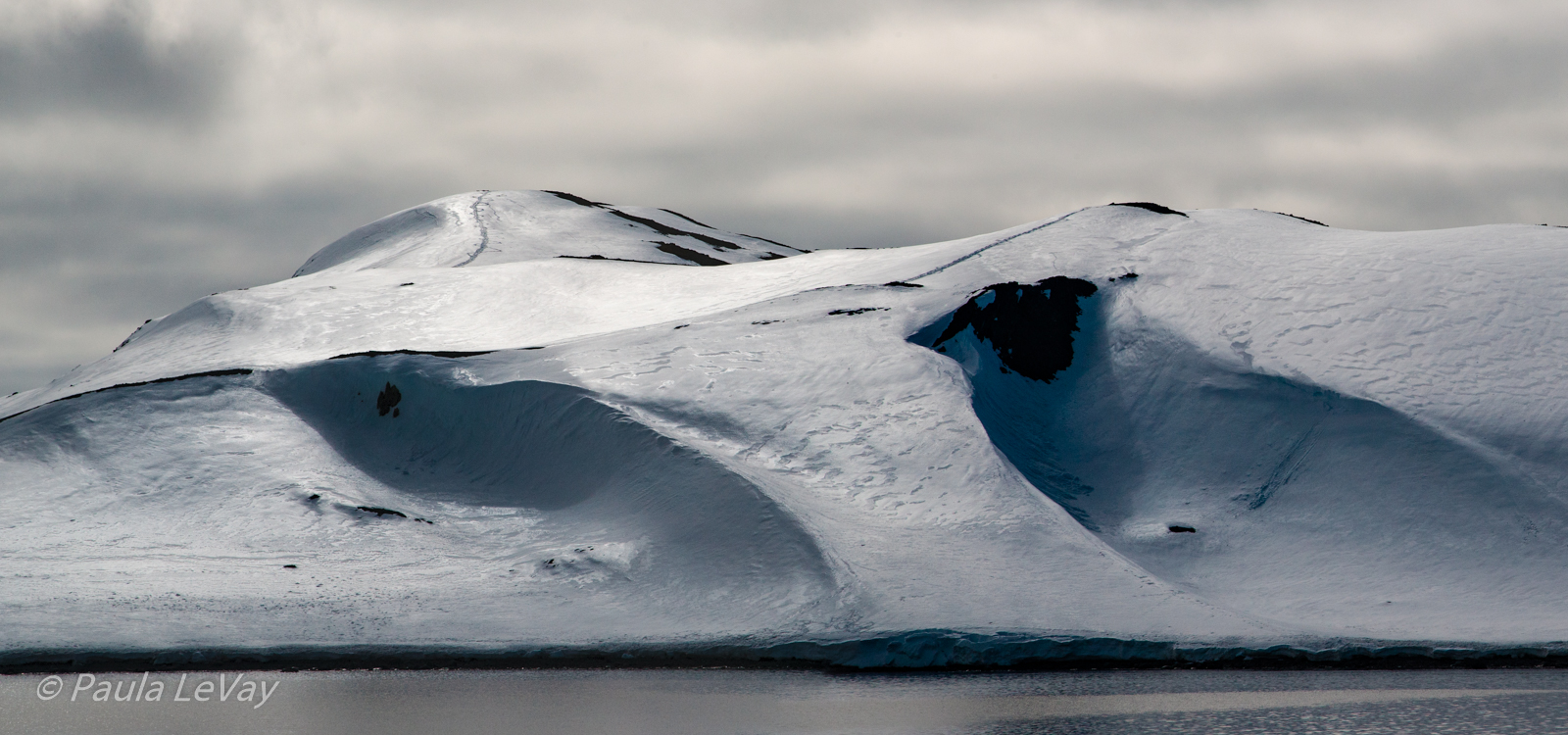 Antarctic Silver-WC 799