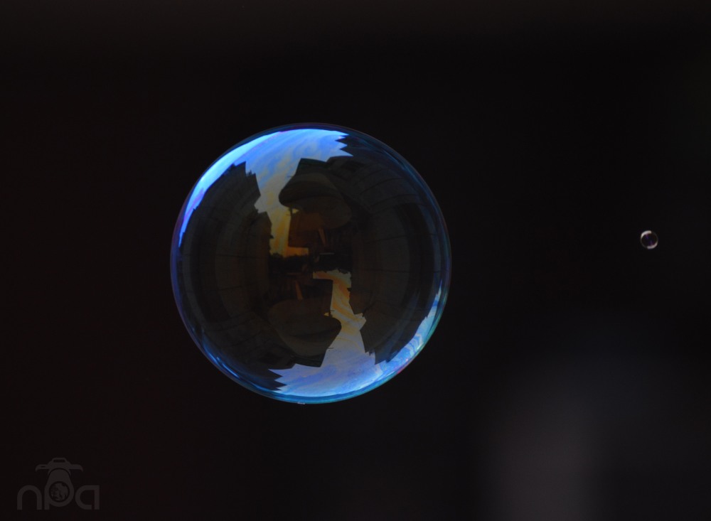 Bubbles- Reflections