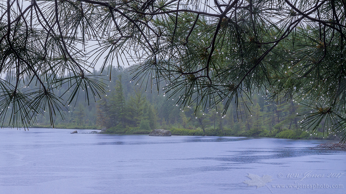 Rainy Bay