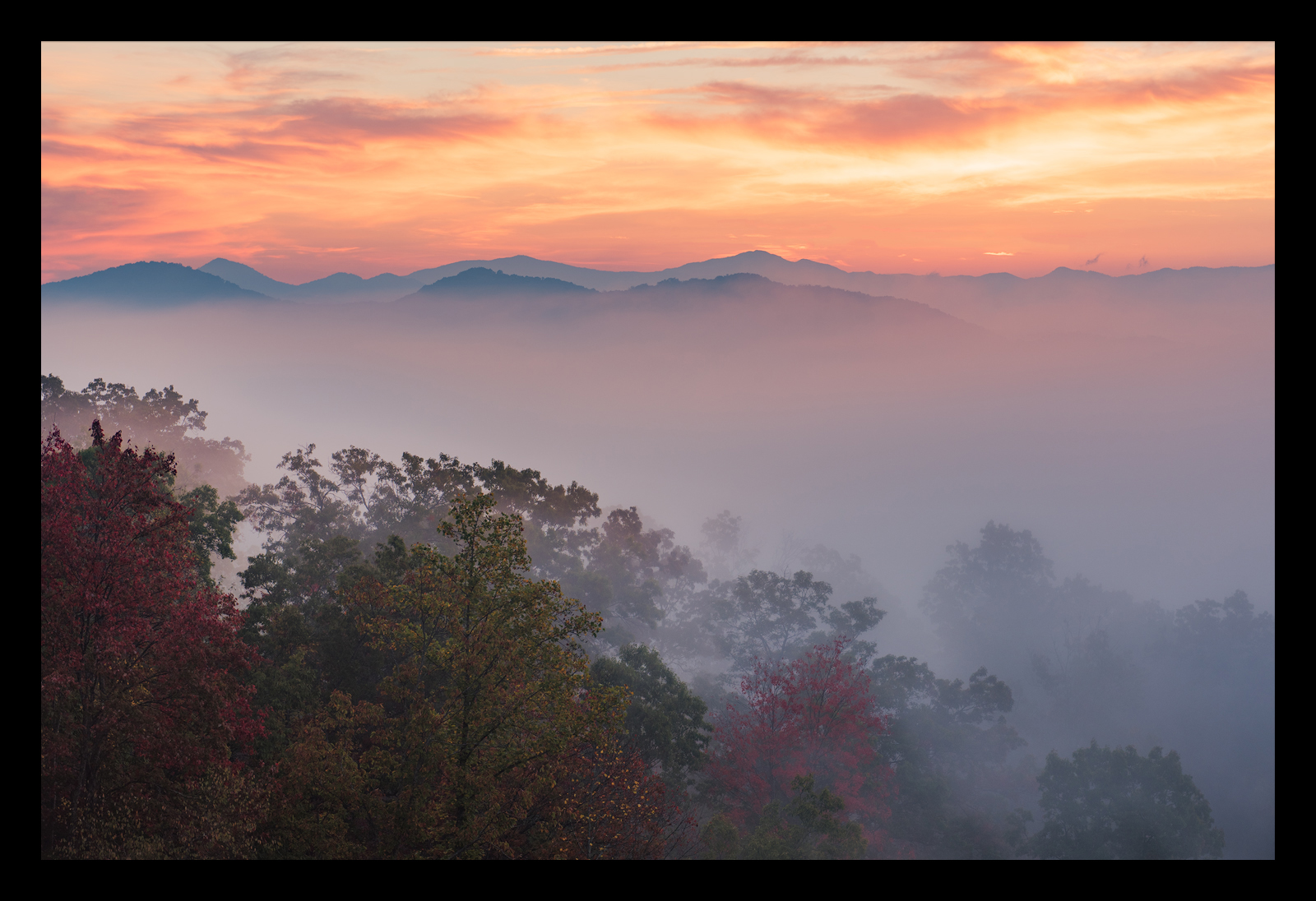 Autumn Mystery