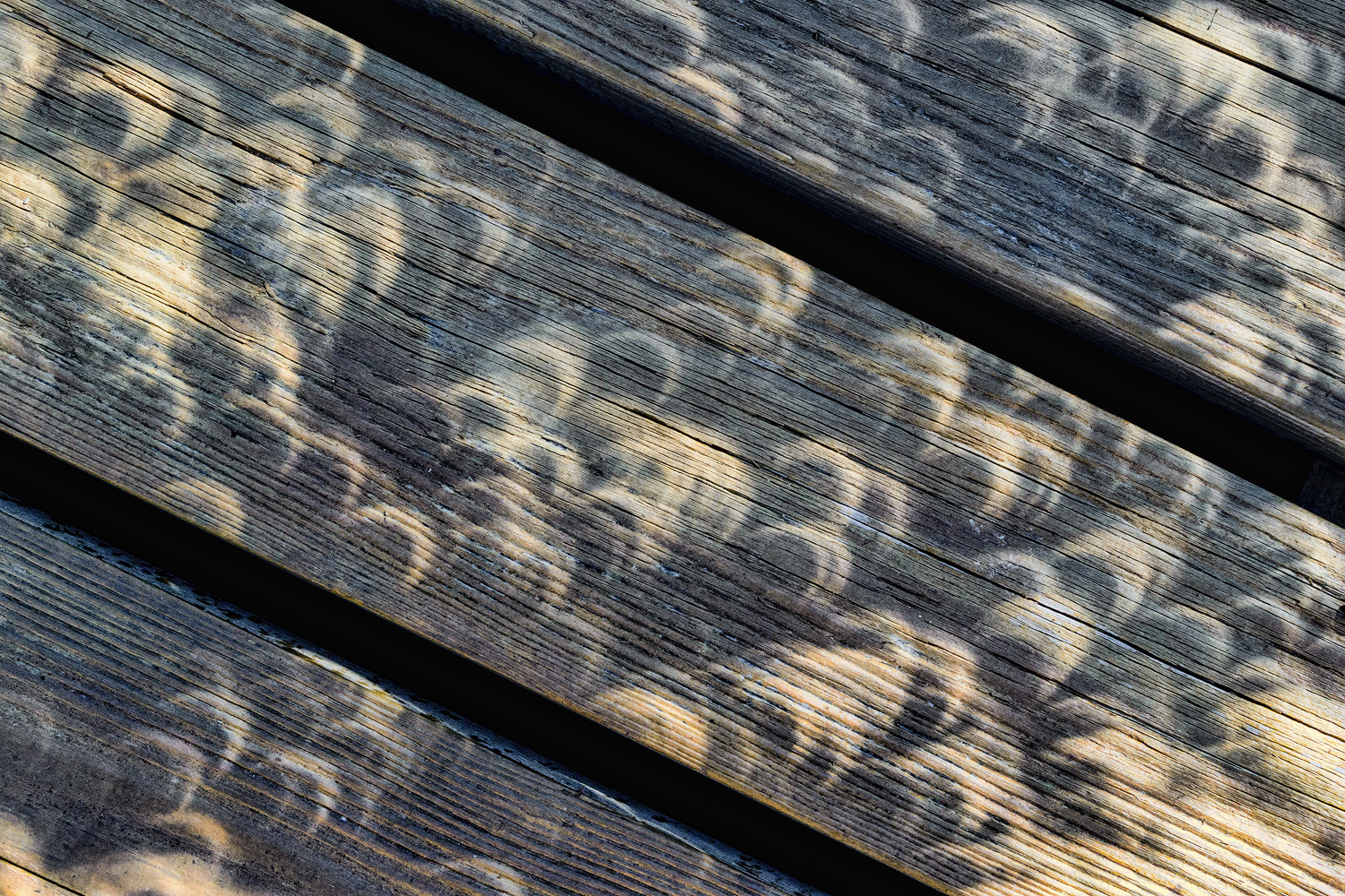 Eclipse Shadows