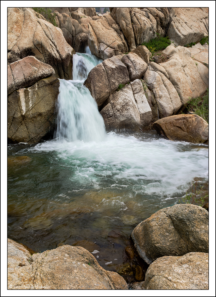 Cascades of Summer