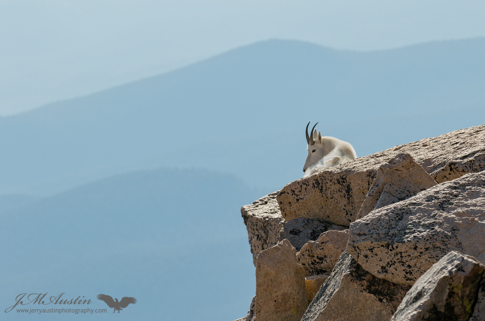 Majestic Solitude