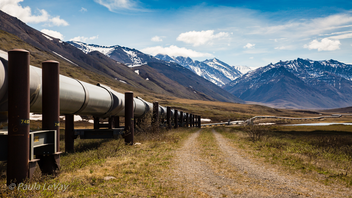 Trans-Alaska Pipeline-WC