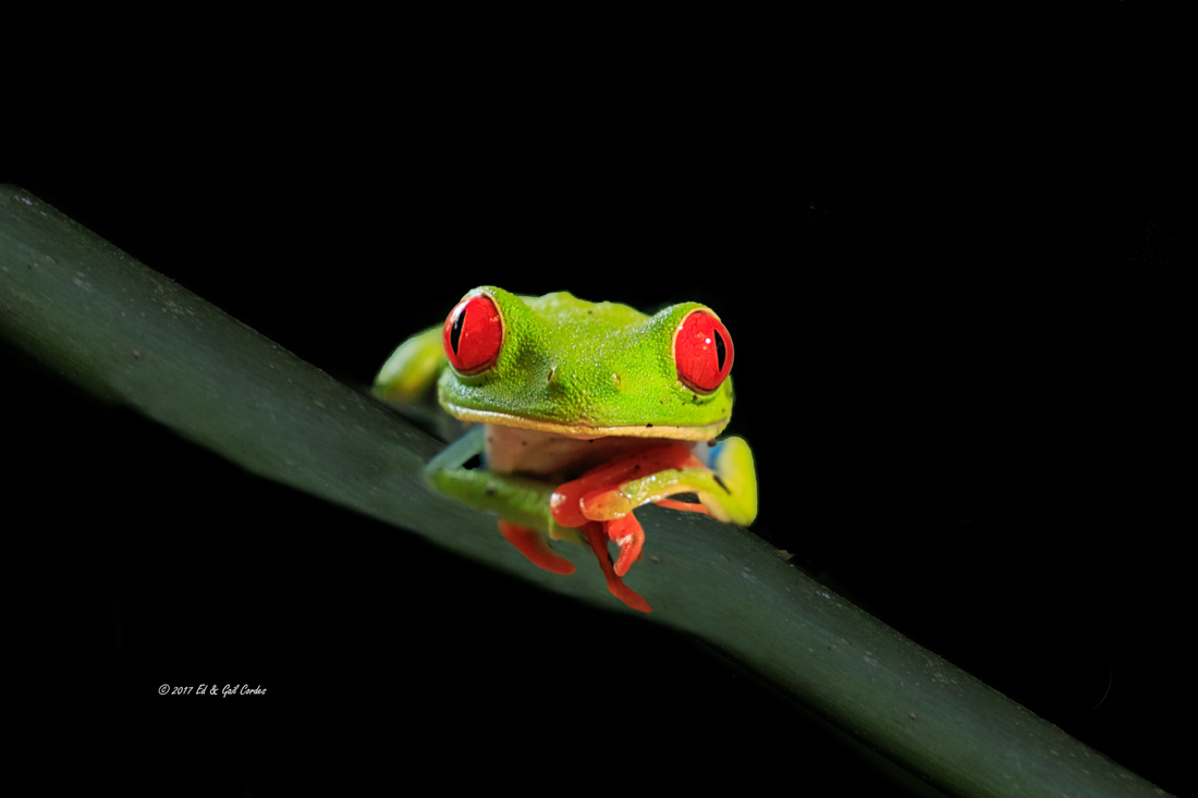 Here's Looking At You