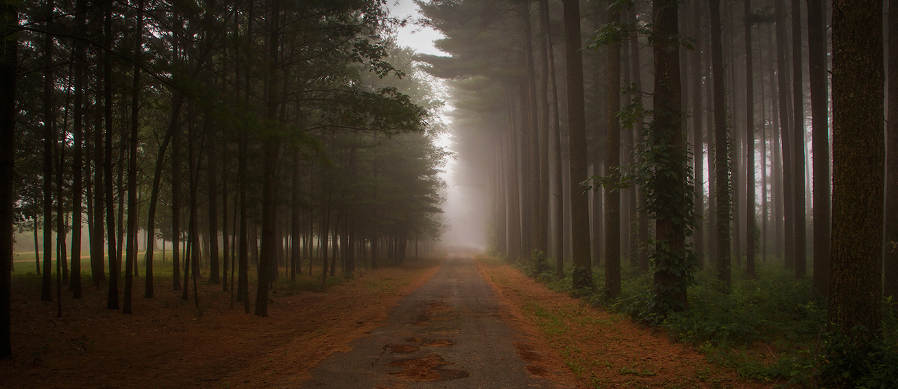 Fog and First Light