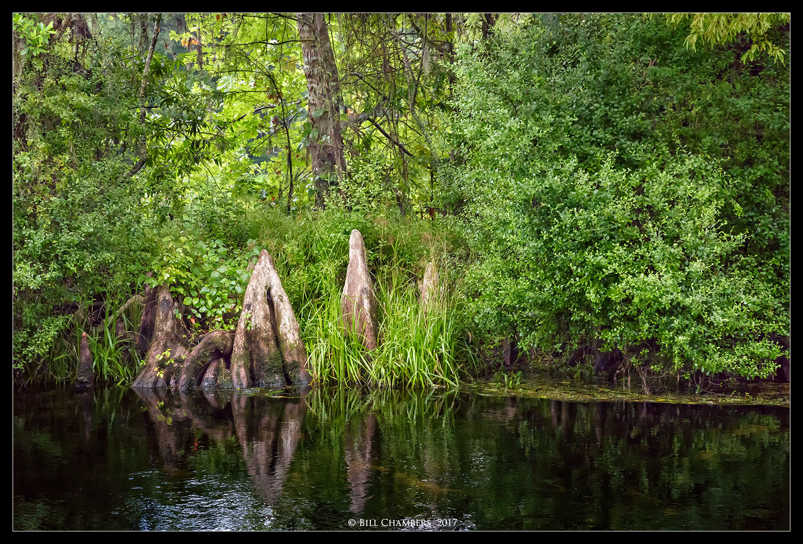Wakula River Scene