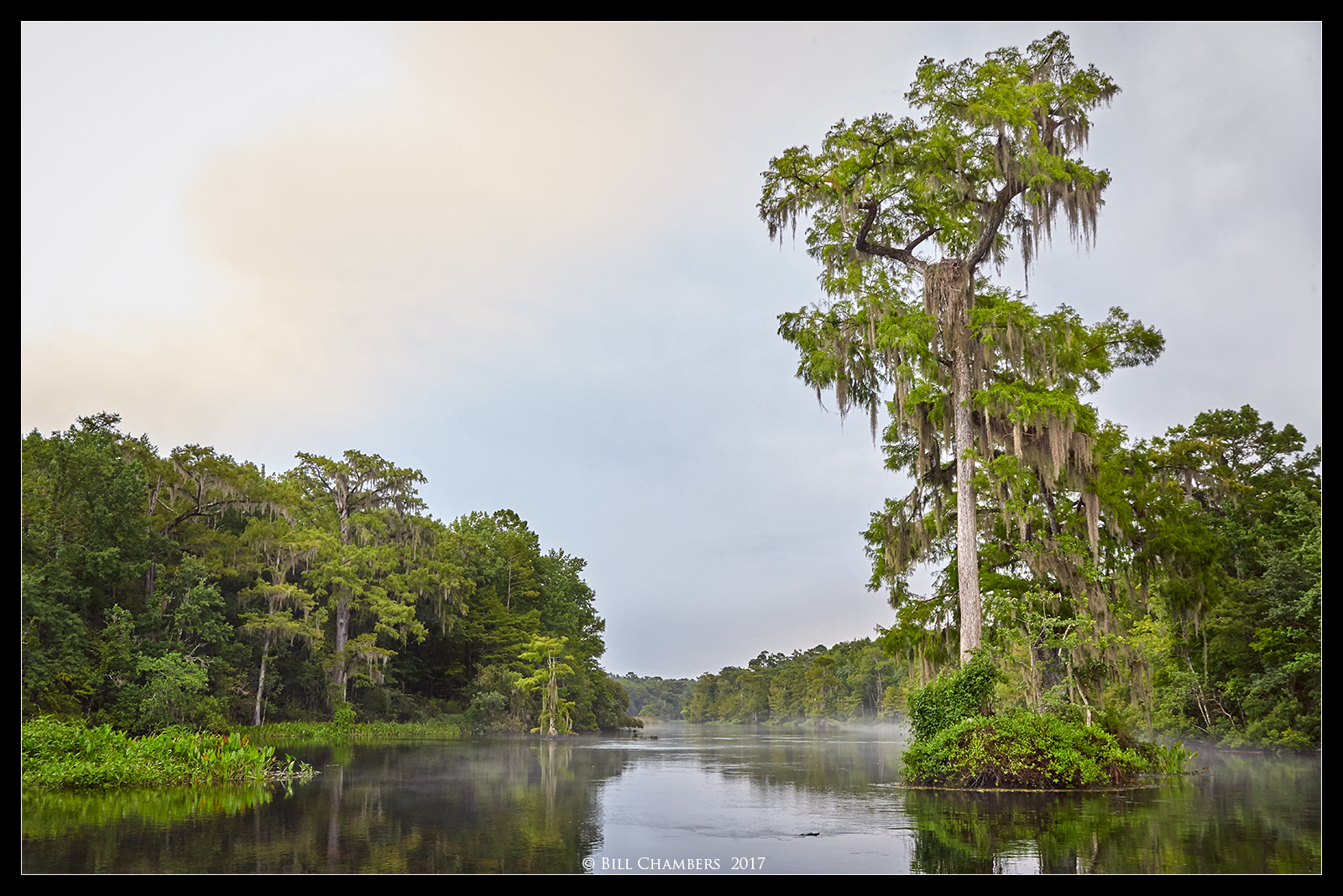 Wakulla Dawn