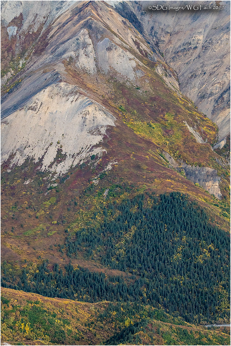 Denali Aloft