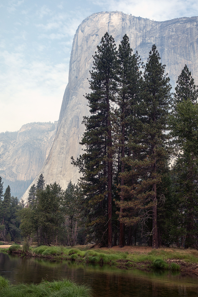 A Smokey El Capitan