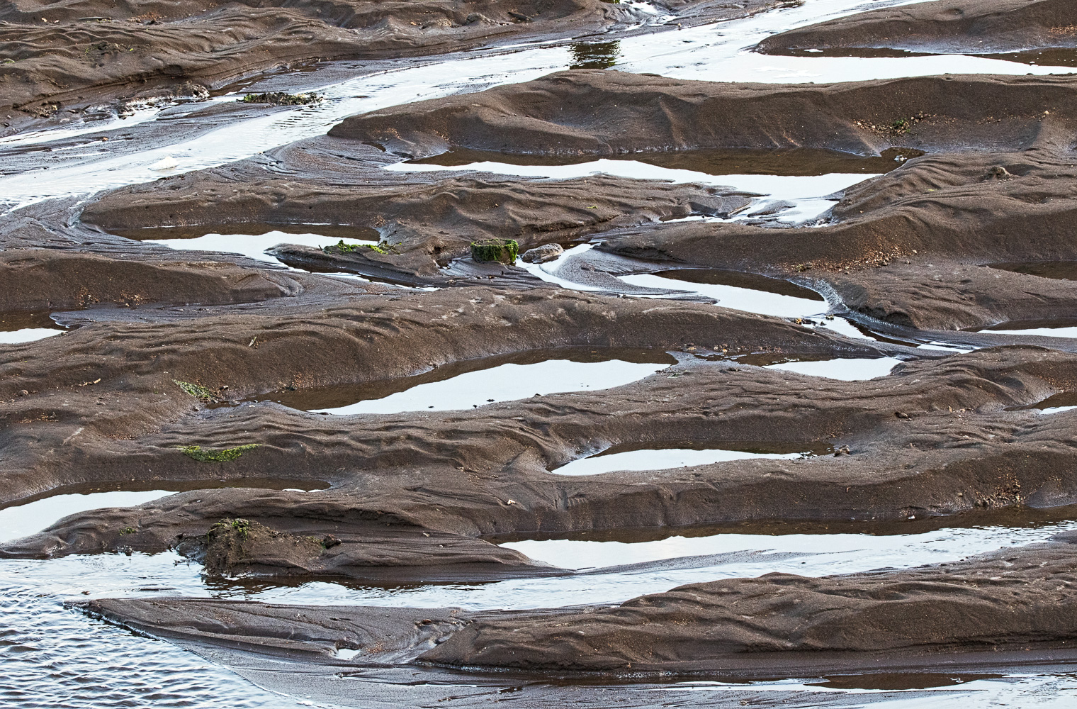 Beach Abstract II