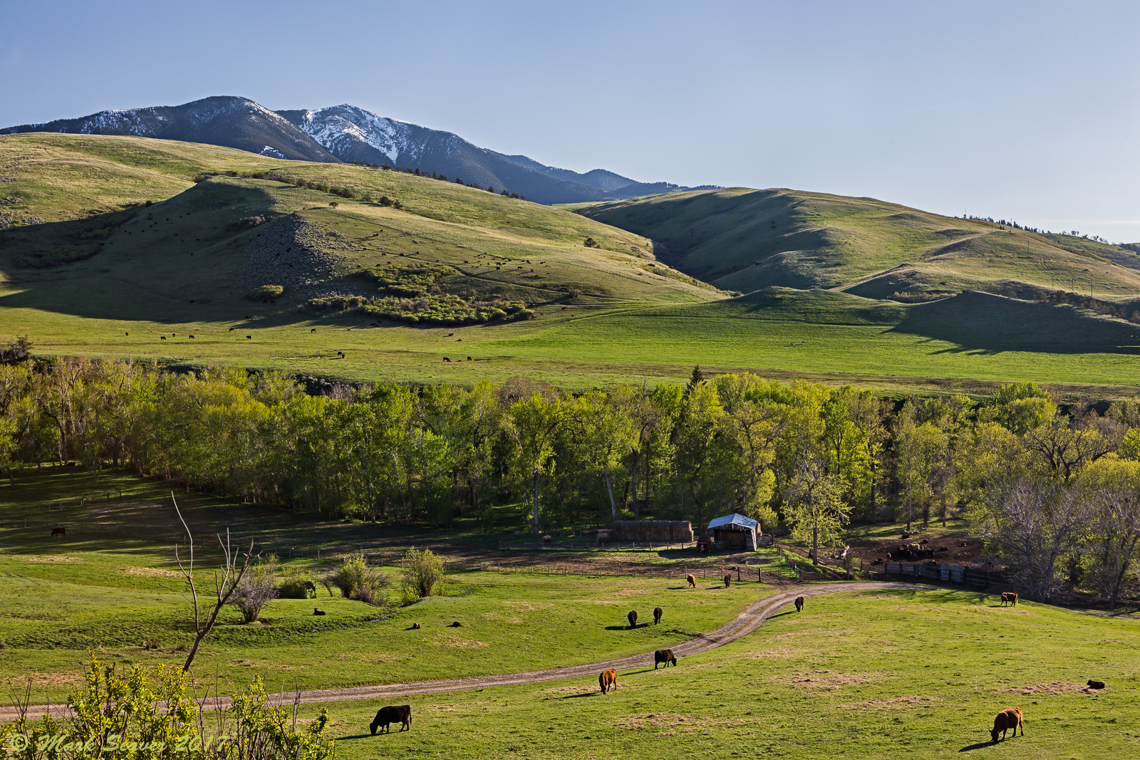 Mountain Ranching