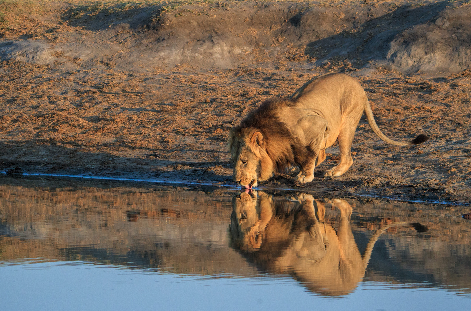 After the Roaring