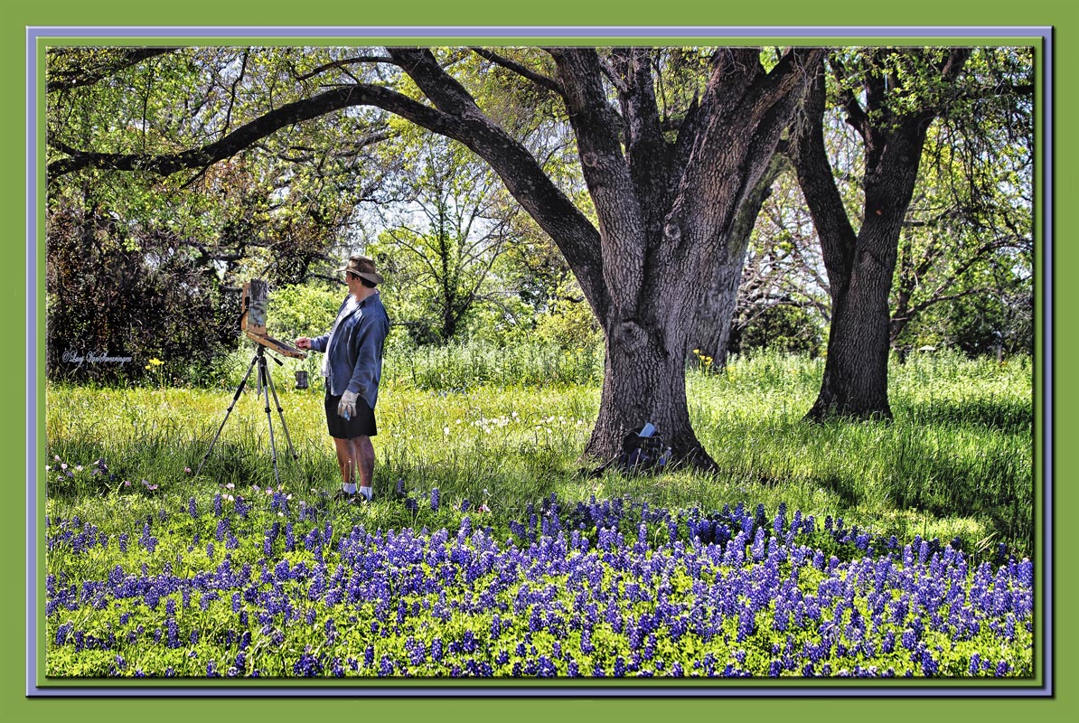 Bluebonnets Within