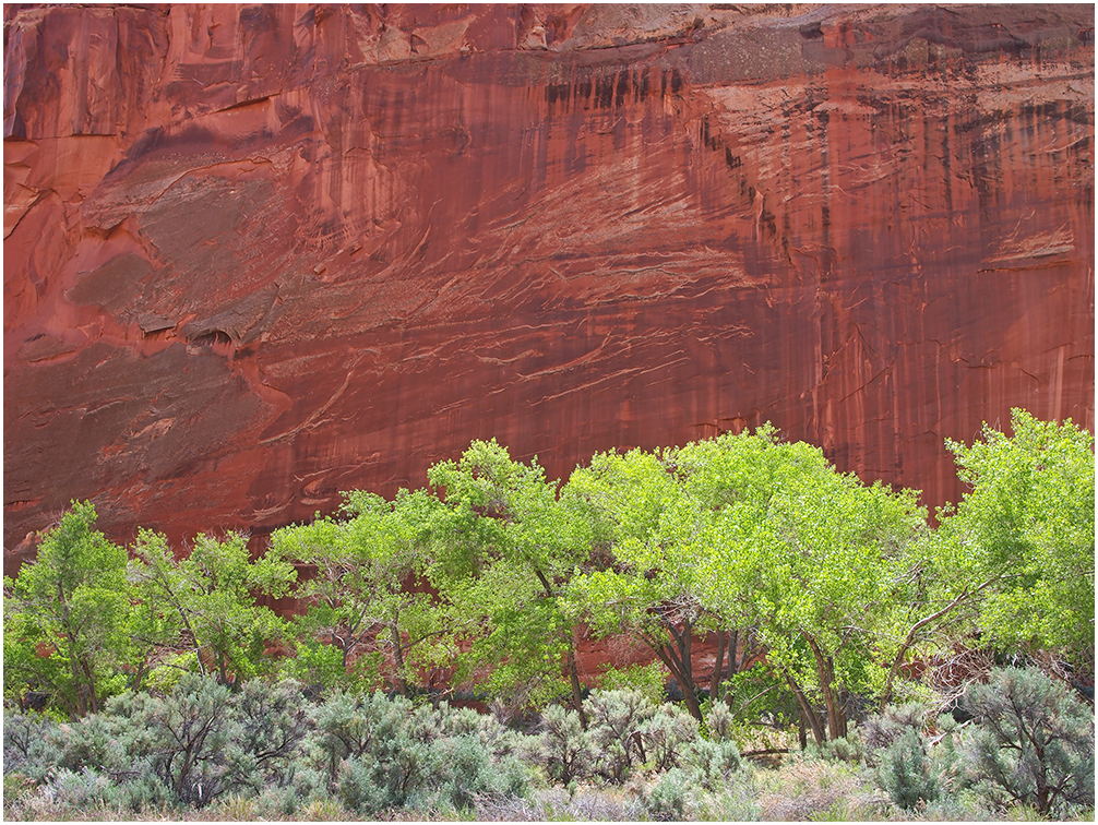 Capitol Gorge Layers