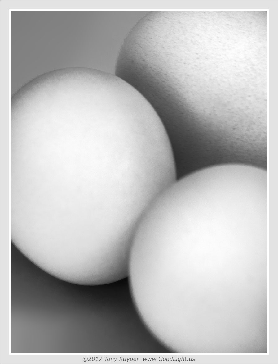 Eggsperiment