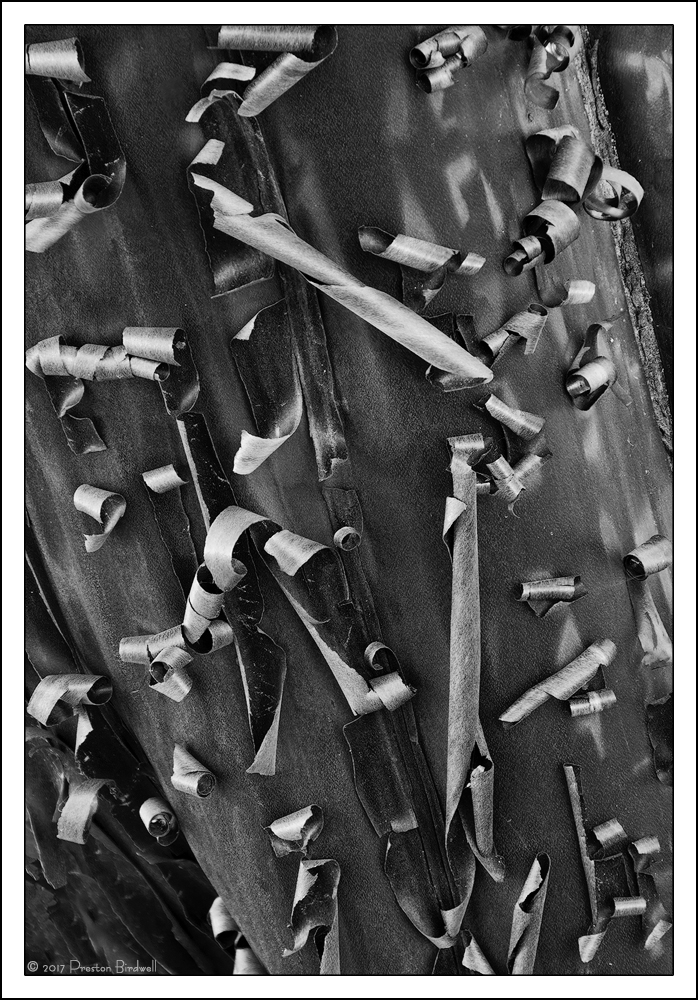 Manzanita Metallic