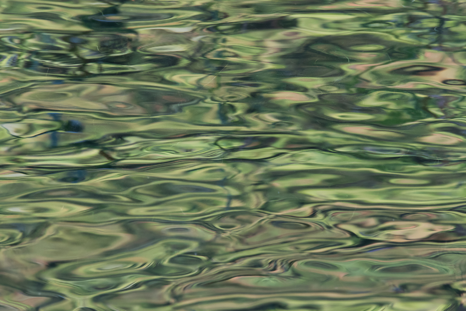 Ripples and Reflections
