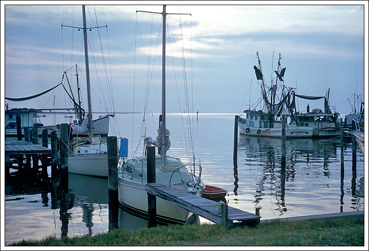 Safe Harbor