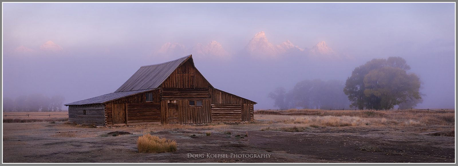 Mormon Row Fog