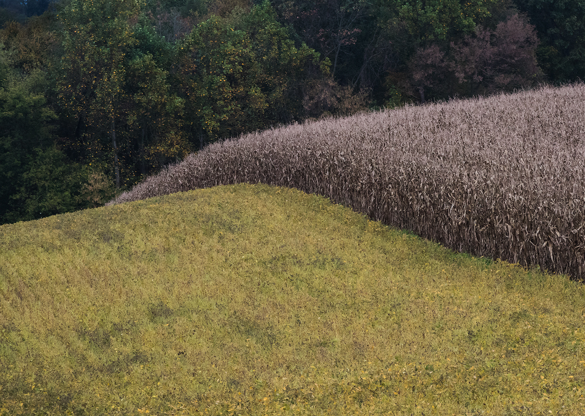 Over the hill.