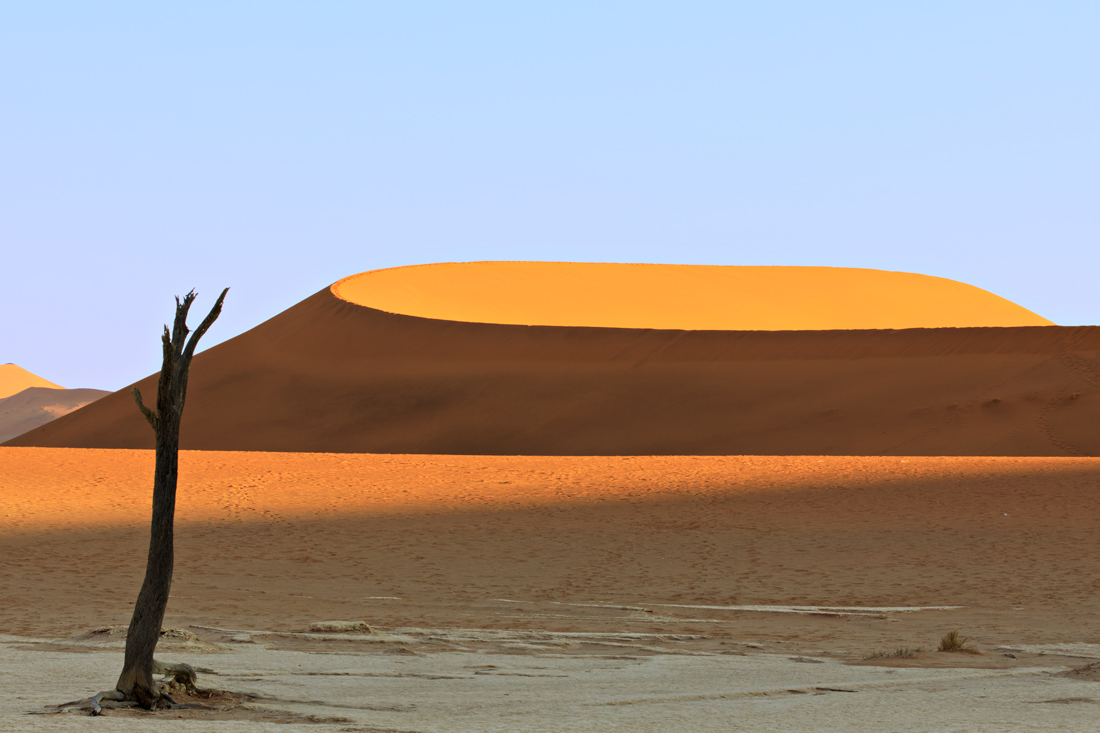 Sweeping Dune