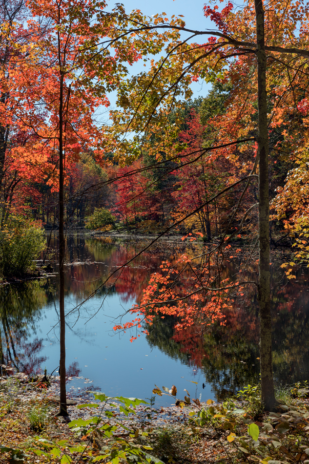 Autumn on Beaver Pond