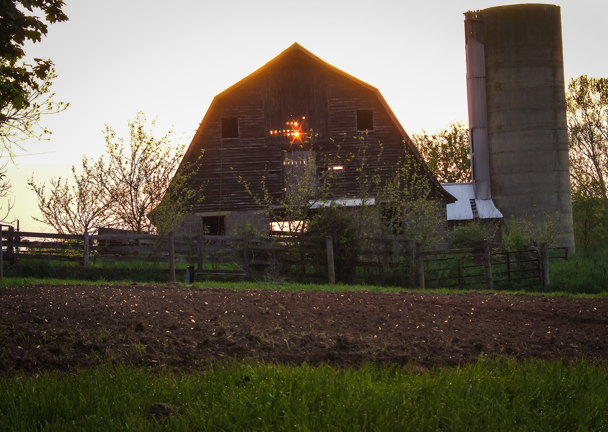 First light.