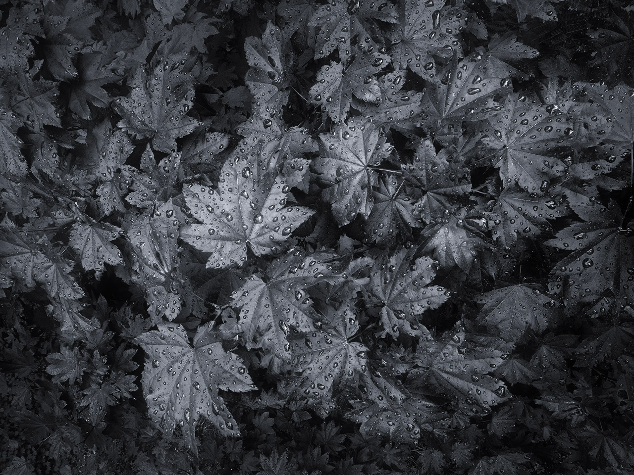 Liquid Silver [+edit]