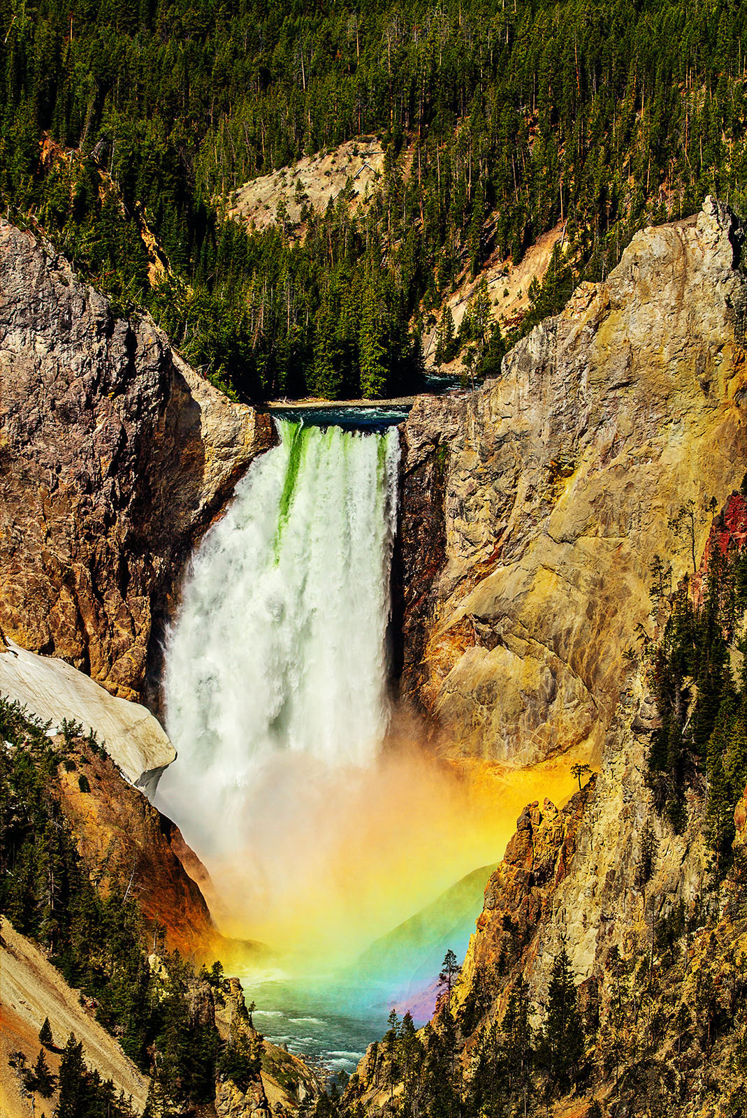 Yellowstone Falls