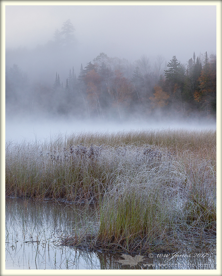 Frosty Fall Shore (Vert)