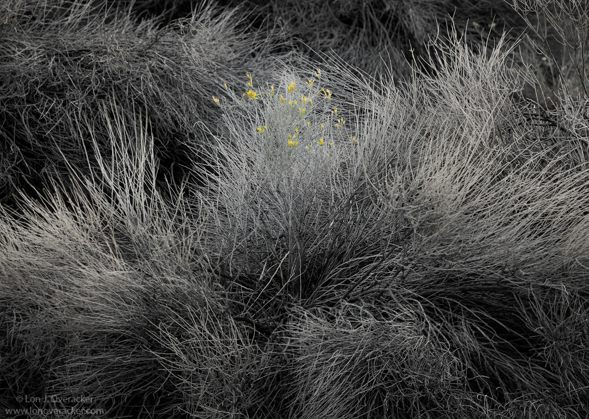 Emerging Color
