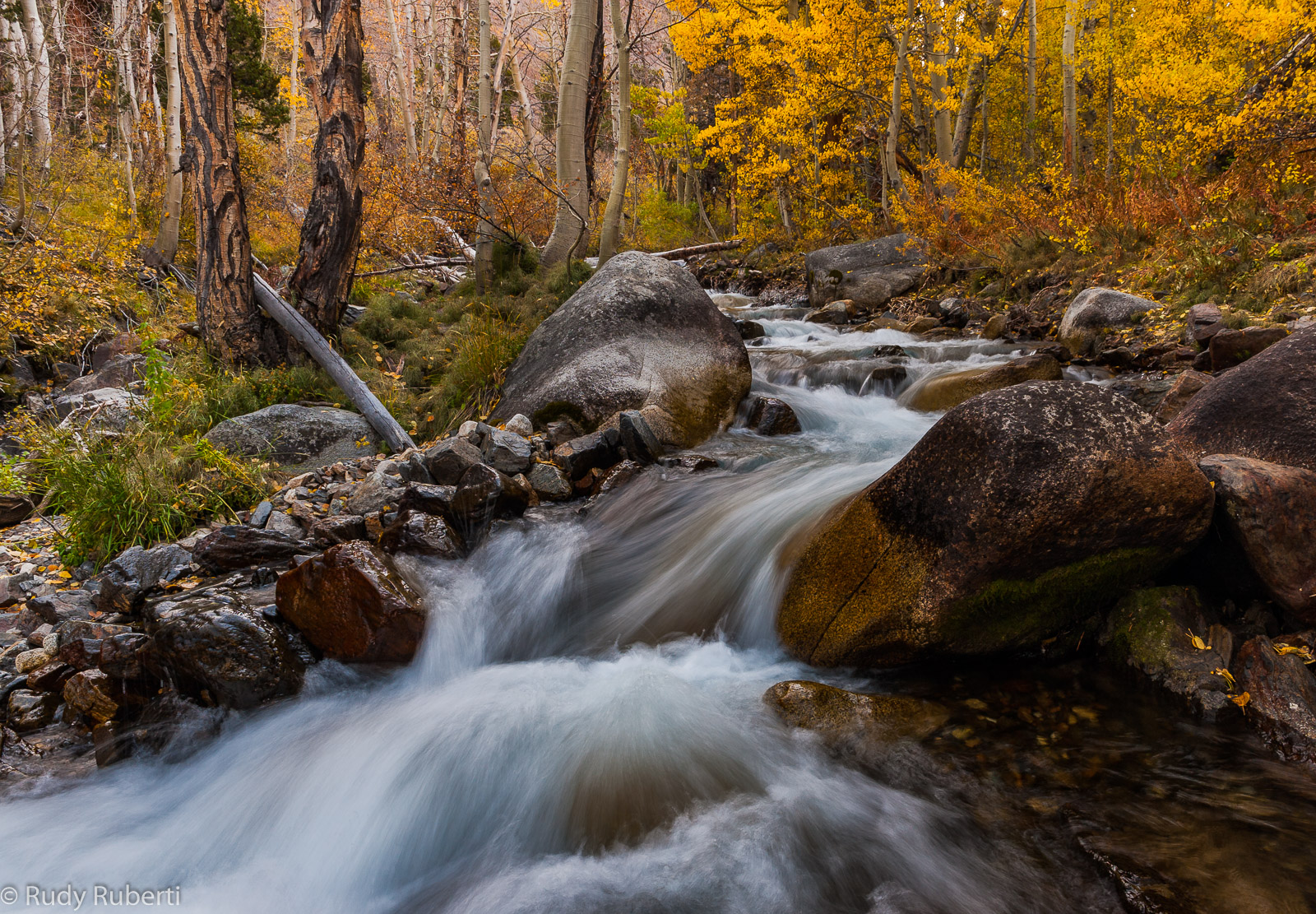 McGee Creek