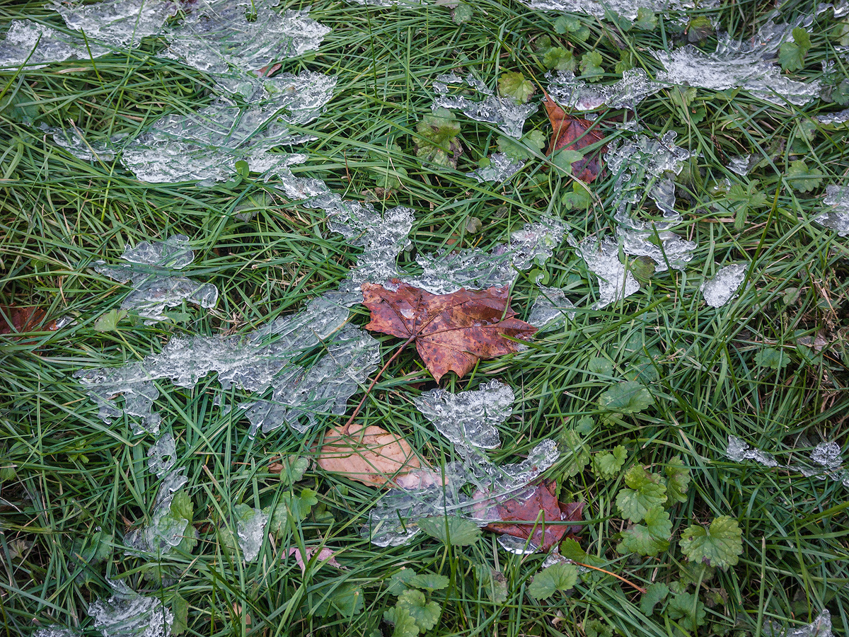 Early spring thaw.