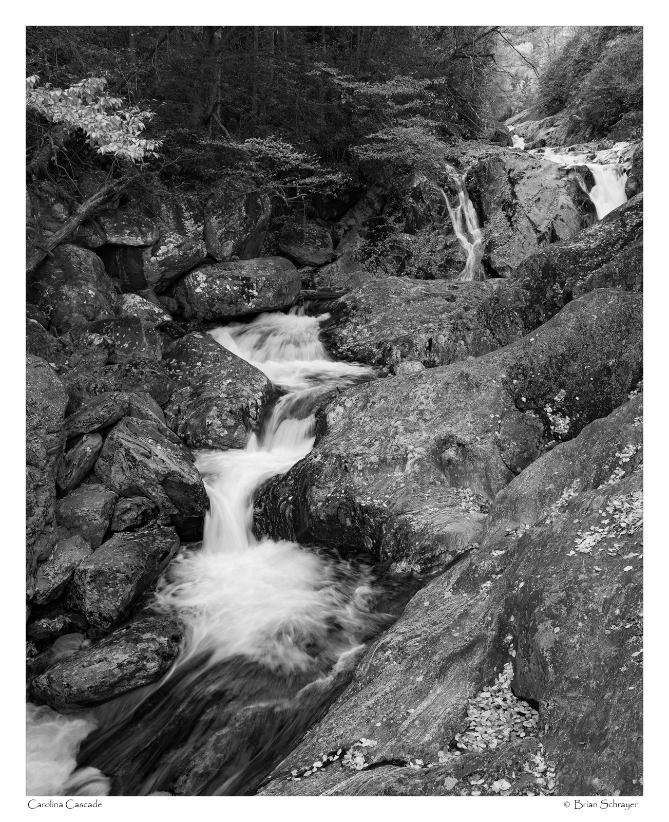 Carolina Cascades