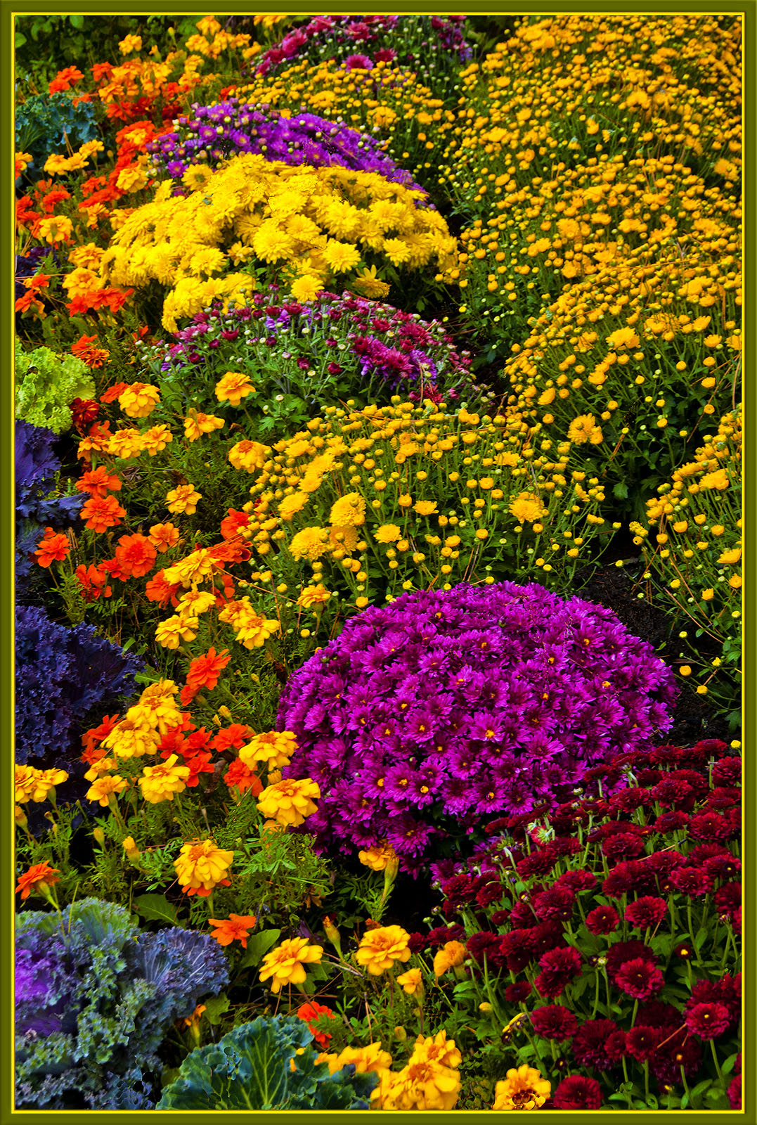 Autumn Garden