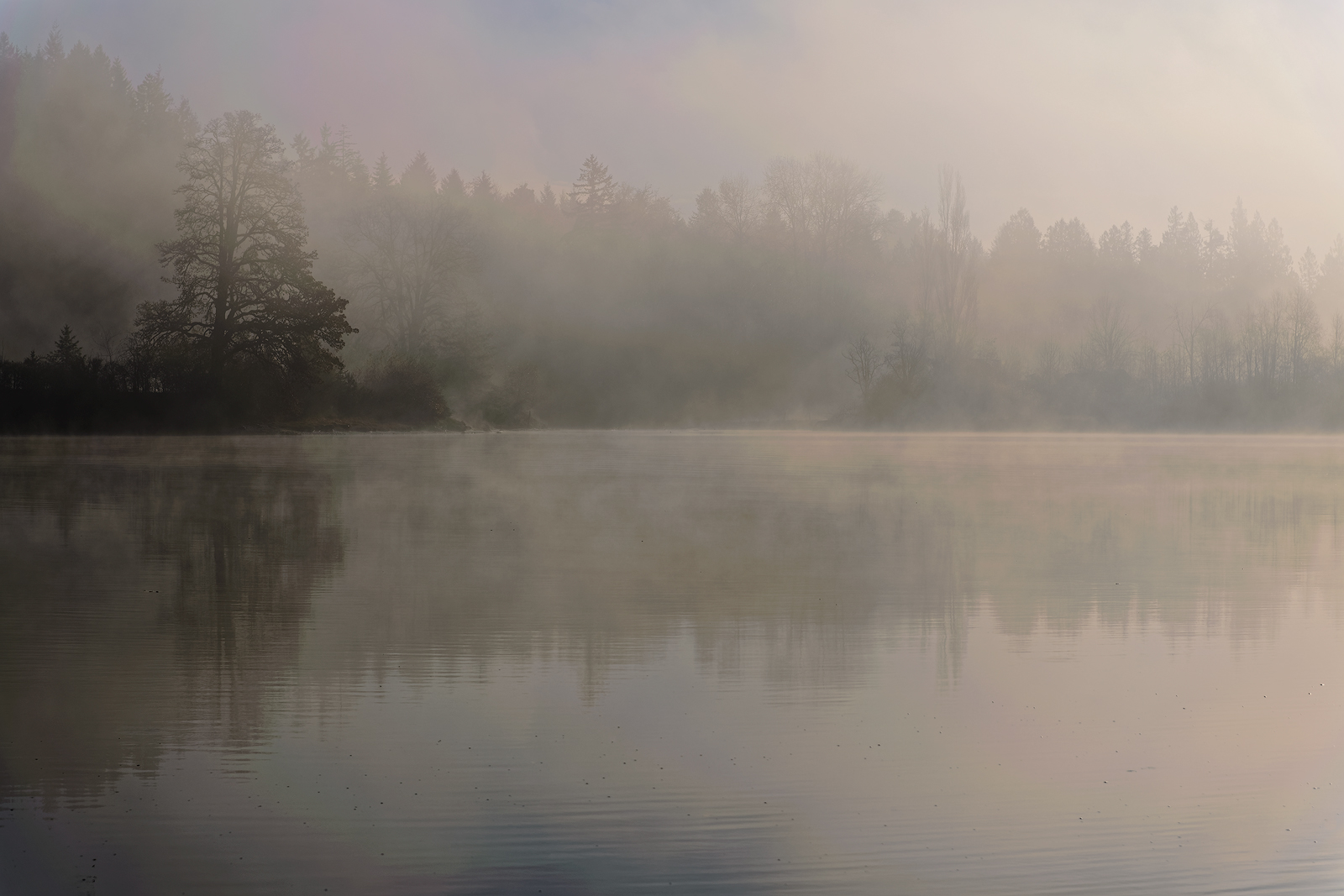 Morning Fog & raw file