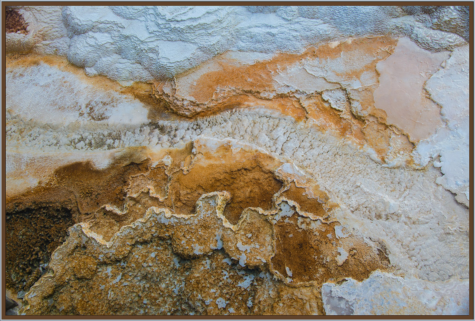 Patterns of Nature