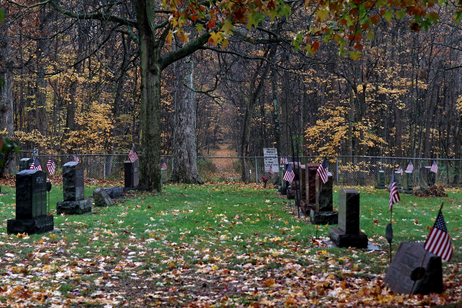 Veterans Day Funks Grove