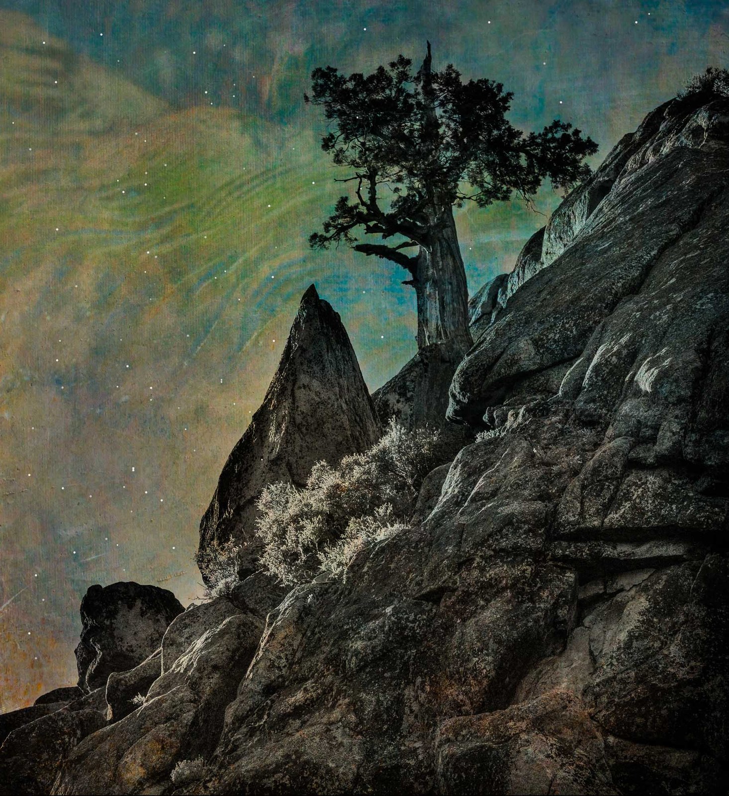 Sierra Night