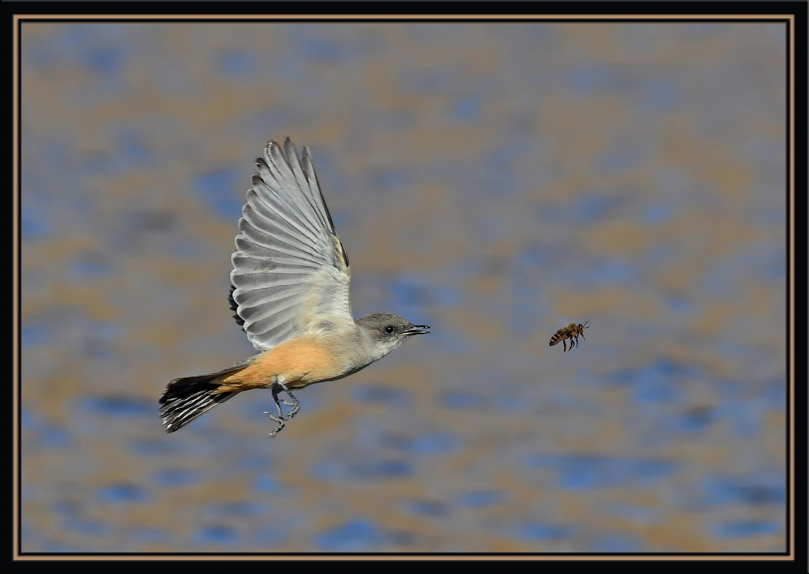 Catch Me If You Can !